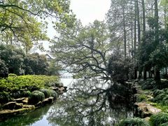 -茅家埠