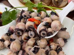 -鑫鸿达·海鲜闽菜热炒小馆(中山路店)