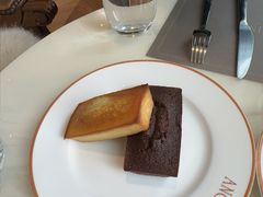 -ANGELINA(IFS国金中心店)