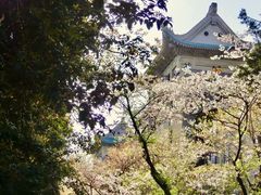 -武汉大学-樱园