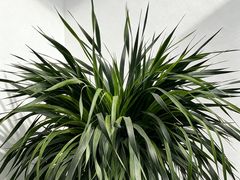 -新东方斯芬克艺术留学作品集培训(郑州校区)