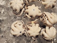 -铭聚章鱼土笋冻(松柏店)