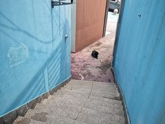 -海合安青岛极地海洋公园