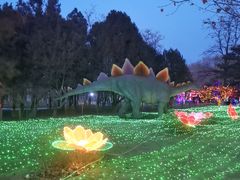 -青龙湖公园