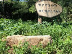 -香山公园