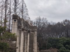 -音乐台