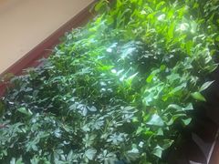 -巴奴毛肚火锅(广益哥伦布店)
