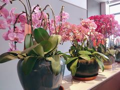 -嘉宴·精致客家菜