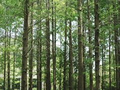 -河南省黄河迎宾馆