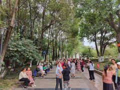 -沙河三洞古桥公园