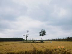 -嘉北郊野公园