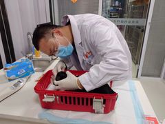 -美美宠物诊疗中心·异宠·骨科(滨江东信分院)