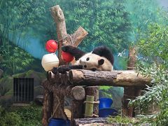-杭州动物园