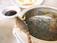 党参乌鸡炖蝎子-国英炖品店(甲子路店)
