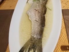 太湖大白鱼-江南原著(中联广场店)