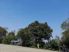 -紫金山山顶公园