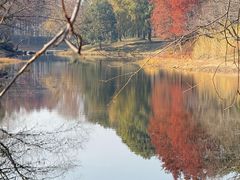 -贡湖湾湿地公园