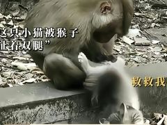 -昆明动物园