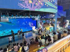 -烟台海昌鲸鲨海洋公园