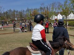 -上海长兴岛郊野公园