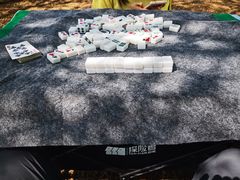 -合肥滨湖国家森林公园