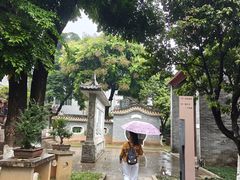 -碧江金楼