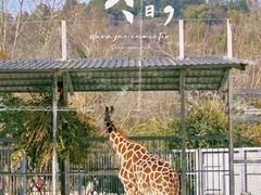 -上方山森林动物世界