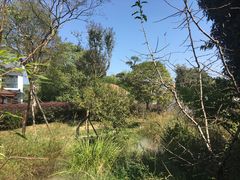 -武汉紫薇都市田园