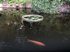 -厦门日月谷温泉渡假村