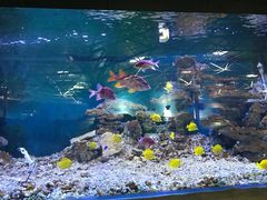 -秦皇岛乐岛海洋王国