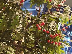 -喜识·冰糖葫芦·炒酸奶(西美花街店)