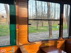 -合肥滨湖国家森林公园