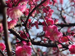 -白塘生态植物园