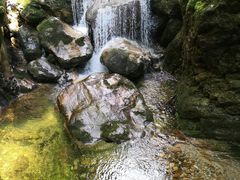 -牛背梁国家森林公园