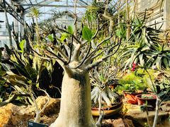 -国家植物园南园