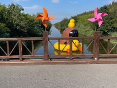 -黄海国家森林公园