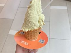 -野人先生现做冰淇淋(北京环宇荟店)