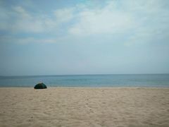 -西涌国际滨海旅游区