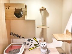 -Double Rui宠物酒店