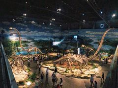 -自贡恐龙博物馆