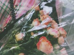 -秦美花卉(天朗·莱茵小城2期店)