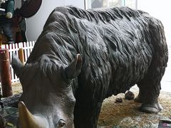 -中国第四纪冰川遗迹陈列馆