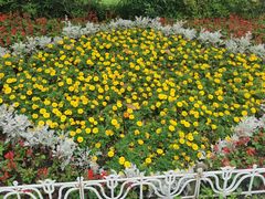 -西湖外事游船(花港观鱼码头)