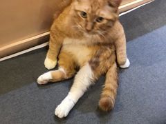 -小时光咖啡馆(开森度假森林店)