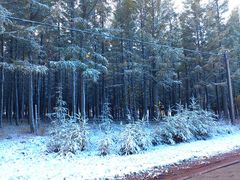 -塞罕坝国家级自然保护区