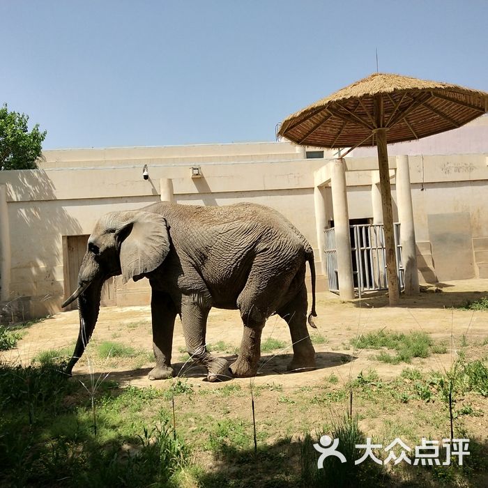 北京国家动物园图片