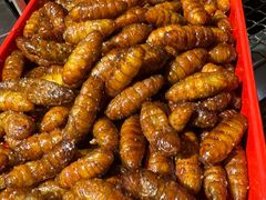 -柿子树炭烤羊腿(金台路店)