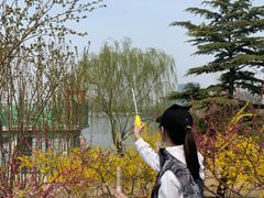 -大兴滨河森林公园