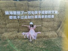 -秀丽东方
