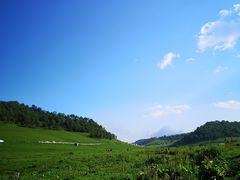 -关山草原